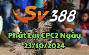 Phát Lại Đá Gà CPC2 Trực Tiếp Ngày 23/10/2024