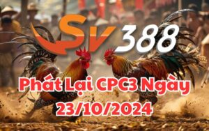 Phát Lại Đá Gà CPC3 Trực Tiếp Ngày 23/10/2024