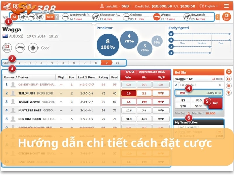 Hướng dẫn cách đặt cược đua ngựa chi tiết tại SV388